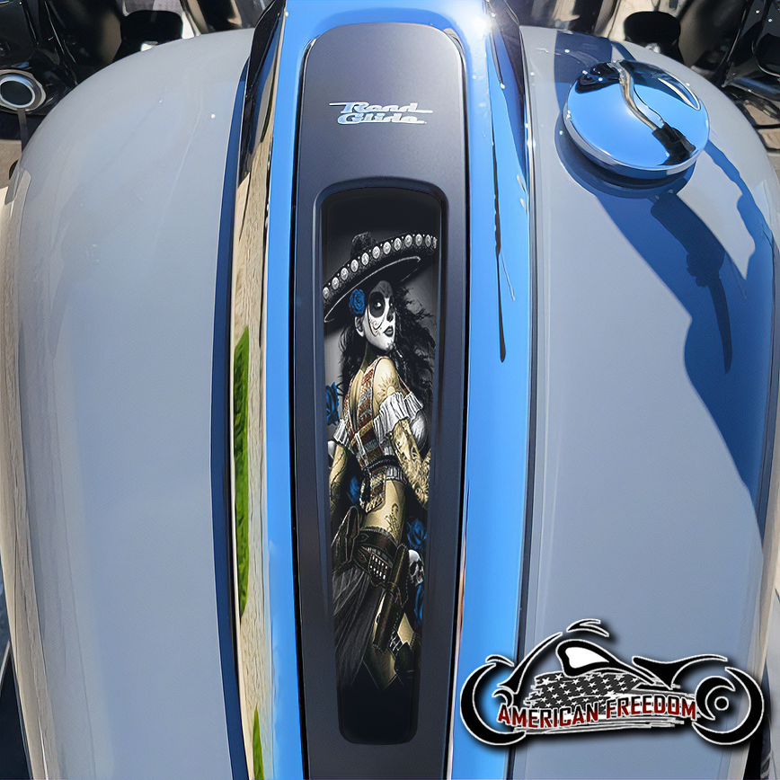 Harley 2021+ Street & Road Glide Dash Insert - Bandita Blue